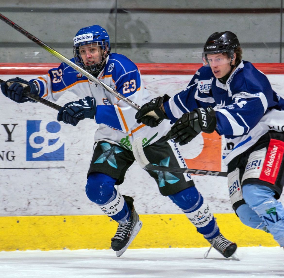 Stolzer Partner des HCI!